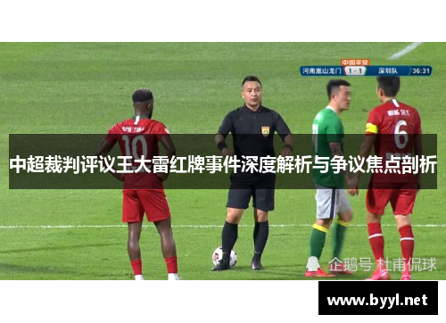 中超裁判评议王大雷红牌事件深度解析与争议焦点剖析